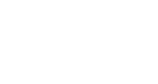 s&Box logo
